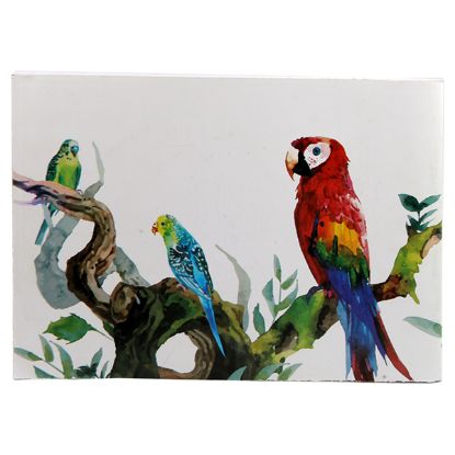 صورة كراسة رسم مدرسي دبوس كبير غلاف كوشيه 40 ورقة مقاس 25 * 35 سم – اكسترا لاين