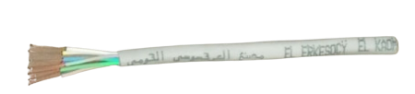 Picture of سلك الهاتف