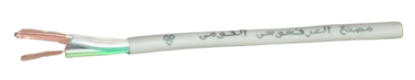 Picture of كابل الهاتف والشبكة(Cat6)