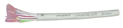 Picture of كابل الهاتف والشبكة(Cat6)
